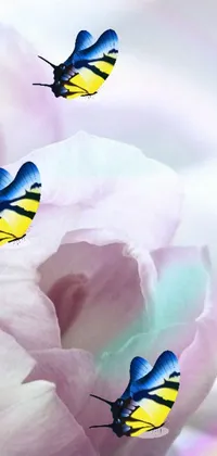 This live wallpaper is an exquisite digital rendering of a group of romantic butterflies perched atop a vibrant flower