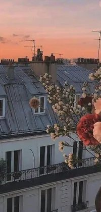This beautiful live wallpaper for your phone depicts a vase full of exquisite flowers placed on a windowsill, overlooking a breathtaking sunset vista of a city