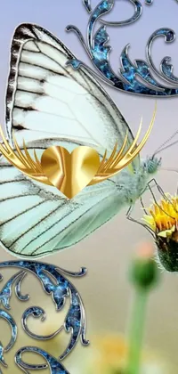 This mobile live wallpaper depicts a stunning butterfly close-up on a flowering plant