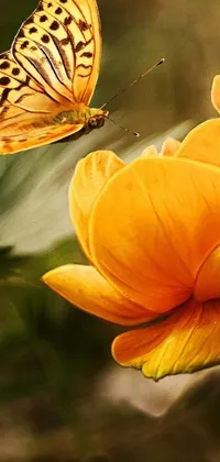 This phone live wallpaper showcases a lively butterfly resting on a brilliant yellow flower amidst swirling floral petals