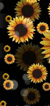 This live wallpaper features yellow sunflowers against a black background