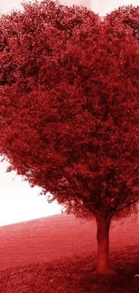Get mesmerized by this romantic phone live wallpaper featuring a stunning heart-shaped tree