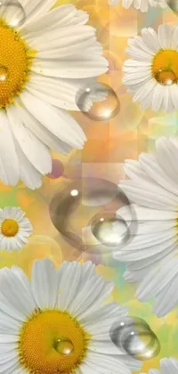 This live wallpaper features beautiful vector art of white and yellow flowers with water droplets, creating a realistic effect