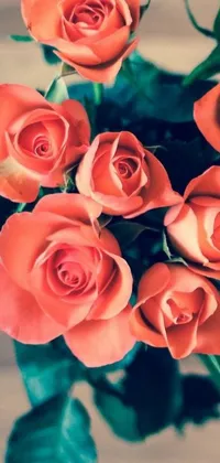 This live wallpaper for your phone showcases a gorgeous close-up of orange roses in a vase