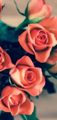 Bring the natural beauty of fresh pink roses into your daily life with this gorgeous live wallpaper for your phone