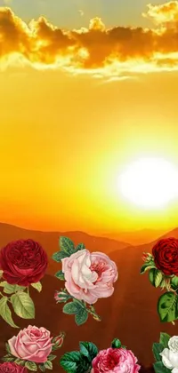 This live wallpaper features a beautiful scene with roses on a green field, an album-inspired cover, three suns, and desert flowers on a sandy landscape