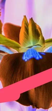 This phone live wallpaper features a vivid close up of a flower in a vase