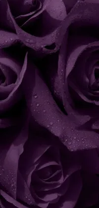 This phone live wallpaper is a beautiful digital painting featuring a bunch of purple roses arranged on a table