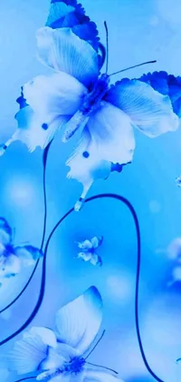 Get mesmerized by the stunningly realistic depiction of a butterfly perched on a blooming blue flower through this phone live wallpaper