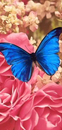 Looking for a charming and whimsical mobile wallpaper? Check out this digital rendering featuring a beautiful blue butterfly perched atop a vibrant pink flower, set against a gradient background of light blue and pink