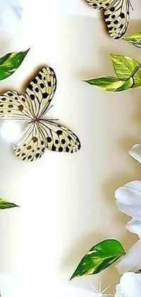 This stunning live wallpaper captures a group of colorful butterflies resting on a beautiful white flower, set against an oversaturated backdrop bursting with vibrant hues