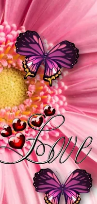 This phone live wallpaper is an exquisite presentation of a pink flower bouquet with two fluttery butterflies