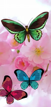 This phone live wallpaper features a visually stunning digital depiction of a group of colorful butterflies perched on top of a vibrant pink flower with a flowing sakura silk background