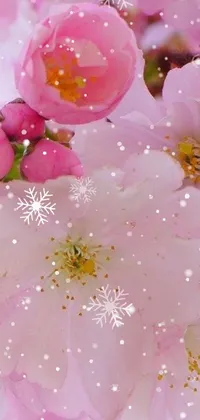 Nature Flower Pink Live Wallpaper