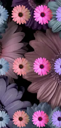 This stunning live wallpaper features a close-up of beautiful flowers, perfect for nature lovers