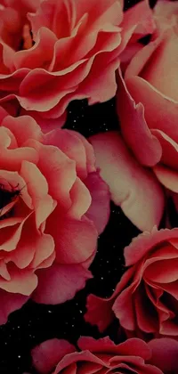 This pink rose live wallpaper features stunning digital art depicting a close-up view of full-bloom roses with intricate textures