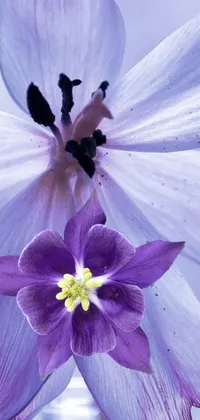 This phone live wallpaper features a stunning close-up of a beautiful purple flower with blue delphinium and lily flower in a vase