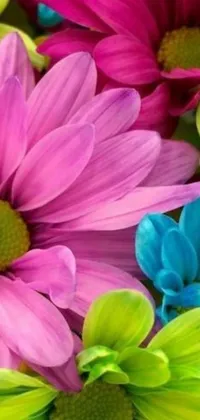 Add a splash of color and joy to your phone screen with this stunning live wallpaper featuring a close-up of a vibrant bouquet of colorful flowers