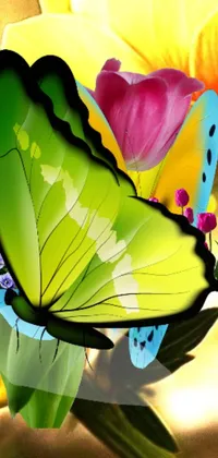 Get ready to add a pop of color to your phone with this stunning live wallpaper! Featuring a beautiful butterfly resting on a tulip, this digital airbrush painting is a true masterpiece