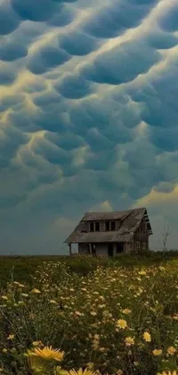 This live wallpaper showcases a surrealistic house amidst a field of wildflowers under mesmerizing mammatus clouds