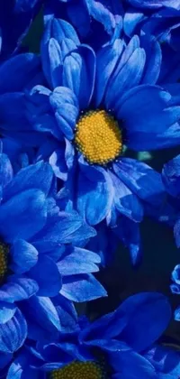 A stunning phone live wallpaper featuring a close-up view of a bunch of blue flowers