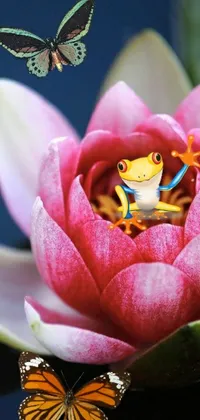 This phone live wallpaper depicts a charming frog sitting on a flower beside a butterfly