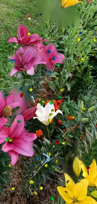 This stunning live wallpaper captures a colorful garden brimming with a variety of flowers in full bloom
