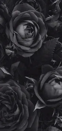 This live phone wallpaper features a mesmerizing black and white image of rose flowers, perfect for those seeking an elegant and sophisticated aesthetic