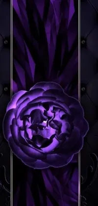 This lively phone wallpaper displays a close-up view of a vivid purple flower in full bloom set against a dark black backdrop