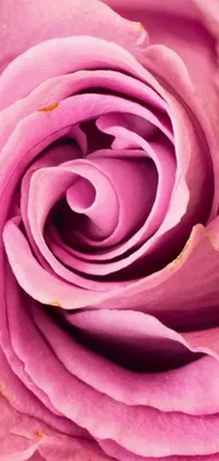 This beautiful phone live wallpaper showcases a stunning close-up of a pink rose flower surrounded by a spiralling, purple vortex