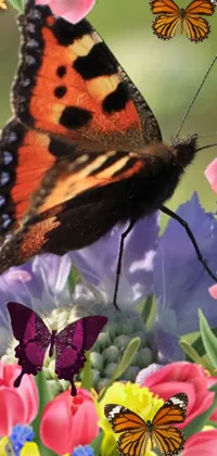 This stunning phone live wallpaper features a beautifully colorful butterfly perched atop a bunch of flowers