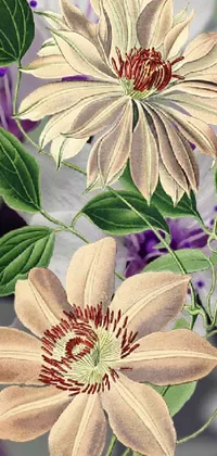 This live wallpaper depicts a stunning painting of a green and white flower, surrounded by leaves and smaller flowers against a lavender and white background