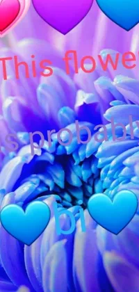 This phone live wallpaper showcases a captivating purple flower with heart-shaped petals and an album cover in the center
