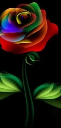 Give your phone a vibrant and beautiful upgrade with this stunning live wallpaper featuring a colorful rose bloom set against a black background