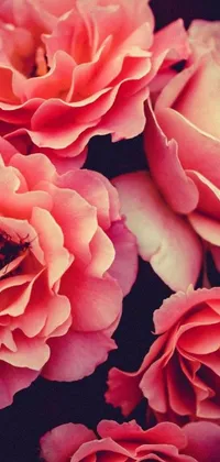This phone live wallpaper showcases a bunch of stunning pink roses on a wooden table in sharp detail