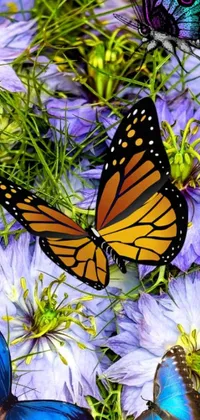 This phone live wallpaper showcases a mesmerizing digital art design depicting monarch butterflies resting peacefully on top of purple clematis flowers