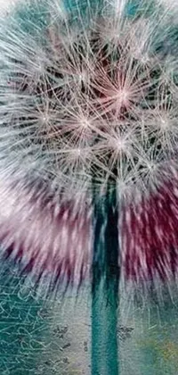This live phone wallpaper features a stunning close-up of a dandelion with a blurred background, created in a pointillist style with a magenta and gray color scheme