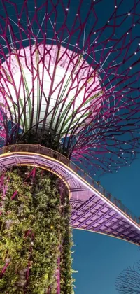 This stunning live wallpaper features a giant tree in the centre of a park, capturing the essence of art nouveau while showcasing Singaporean beauty