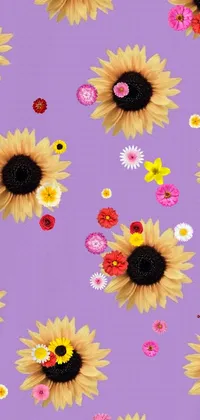 This live phone wallpaper features a stunning pattern of sunflowers set against a bold purple background