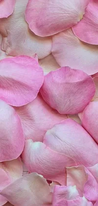 This phone live wallpaper features a stunningly intricate arrangement of delicate pink petals in full bloom