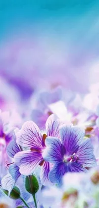 Get lost in a field of purple flowers with this stunning live wallpaper for your phone