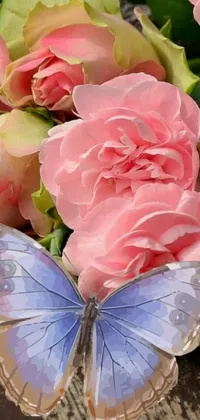 This stunning live wallpaper features a blue butterfly resting on pink flowers surrounded by roses