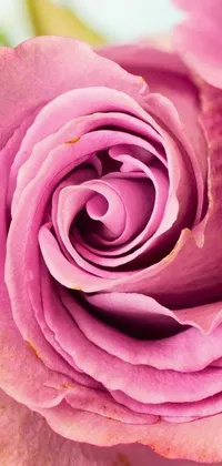 This stunning phone live wallpaper features a close-up shot of a pink rose in a vase