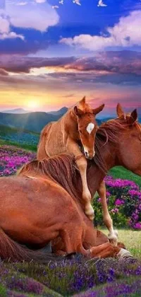This phone live wallpaper captures the beauty of nature with a stunning image of two horses lounging on a lush green field