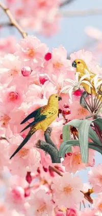 This phone live wallpaper showcases two birds perched atop a tree surrounded by pink and yellow romantic flowers