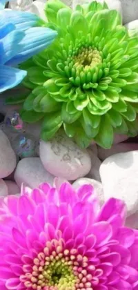 Introducing a stunning phone live wallpaper that is sure to take your breath away! This wallpaper features a delightful bunch of flowers expertly crafted with fantastic realism