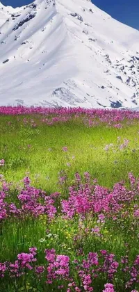 Decorate your phone screen with a stunning live wallpaper of a field of flowers and snow mountains in the background, colored in soft shades of pink, white, and green