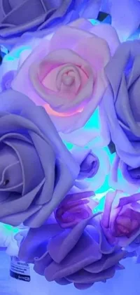 This live phone wallpaper showcases a captivating image of purple roses