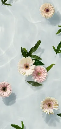 This phone live wallpaper showcases a stunning scene of pink and white flowers floating in a peaceful pool of green water