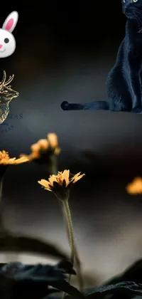 This phone live wallpaper showcases a breathtaking scene of a black cat resting amongst a field of vibrant flowers